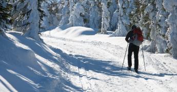 Sylwetka odwróconego mężczyzny na nartach biegowych na tle śniegu.