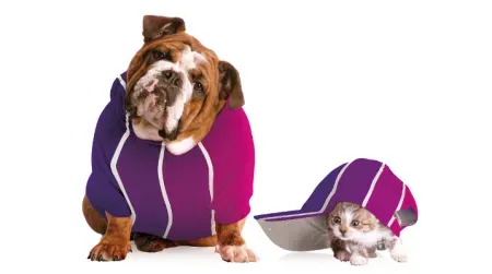 Ubezpieczenie w razie boreliozy oraz assistance dla zwierząt domowych Zdjęcie artykułu